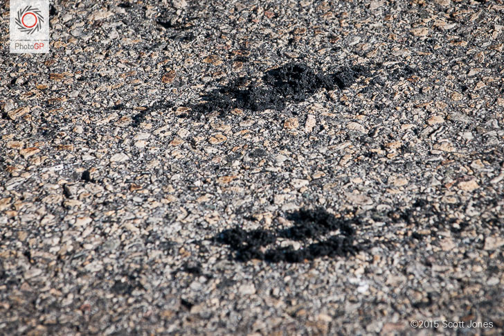loose bridestone tire rubber